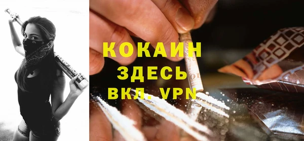 дмт Абаза