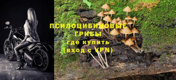 амф Абинск