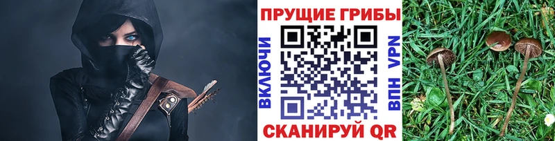 Галлюциногенные грибы ЛСД  Таштагол 